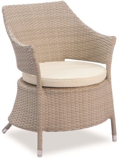 NEO-DS-136 Rattan Arm Chair