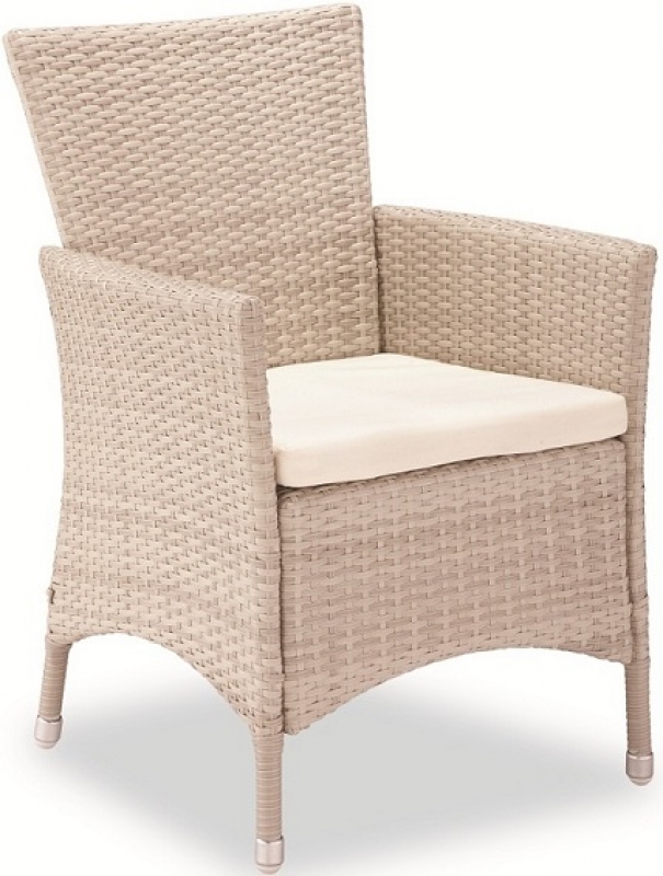 NEO-DS-143 Rattan Arm Chair