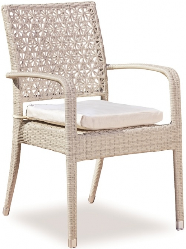 NEO-DS-146 Rattan Arm Chair