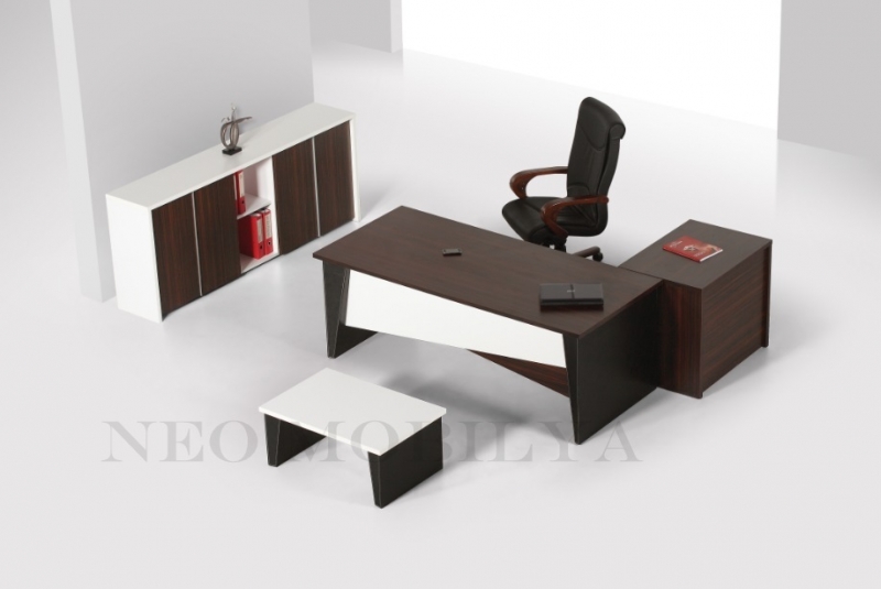 Lampone Executive Desk Set Lifestyle 2