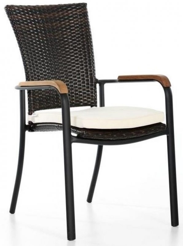 NEO-DS-113 Rattan Arm Chair