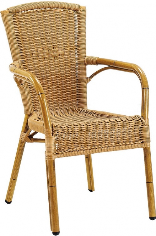 NEO-DS-103 Rattan Arm Chair