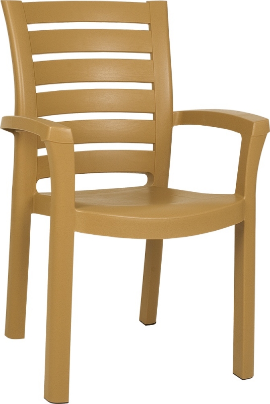 NEO-PSN-002 Plastic Chair